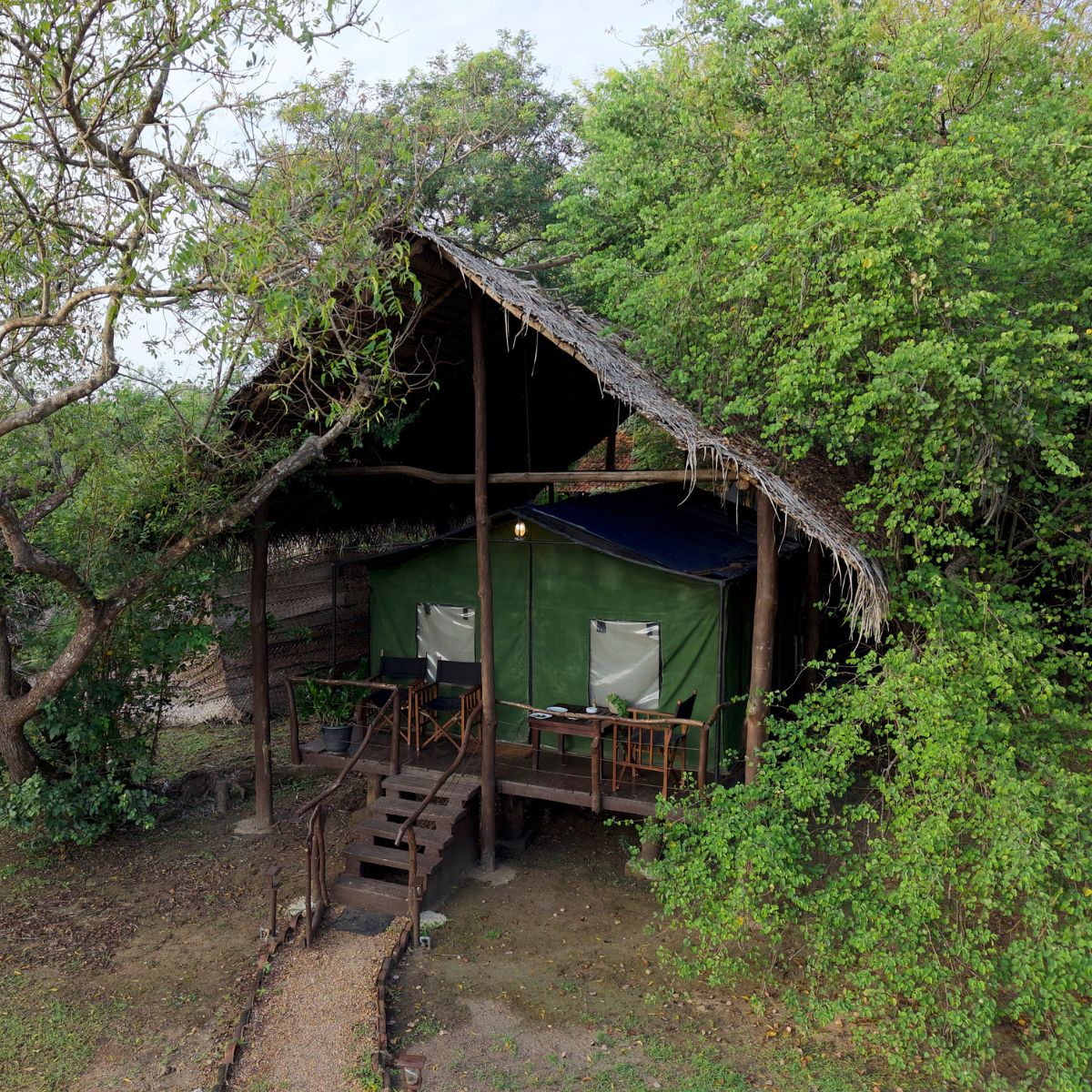Safari Family Tent