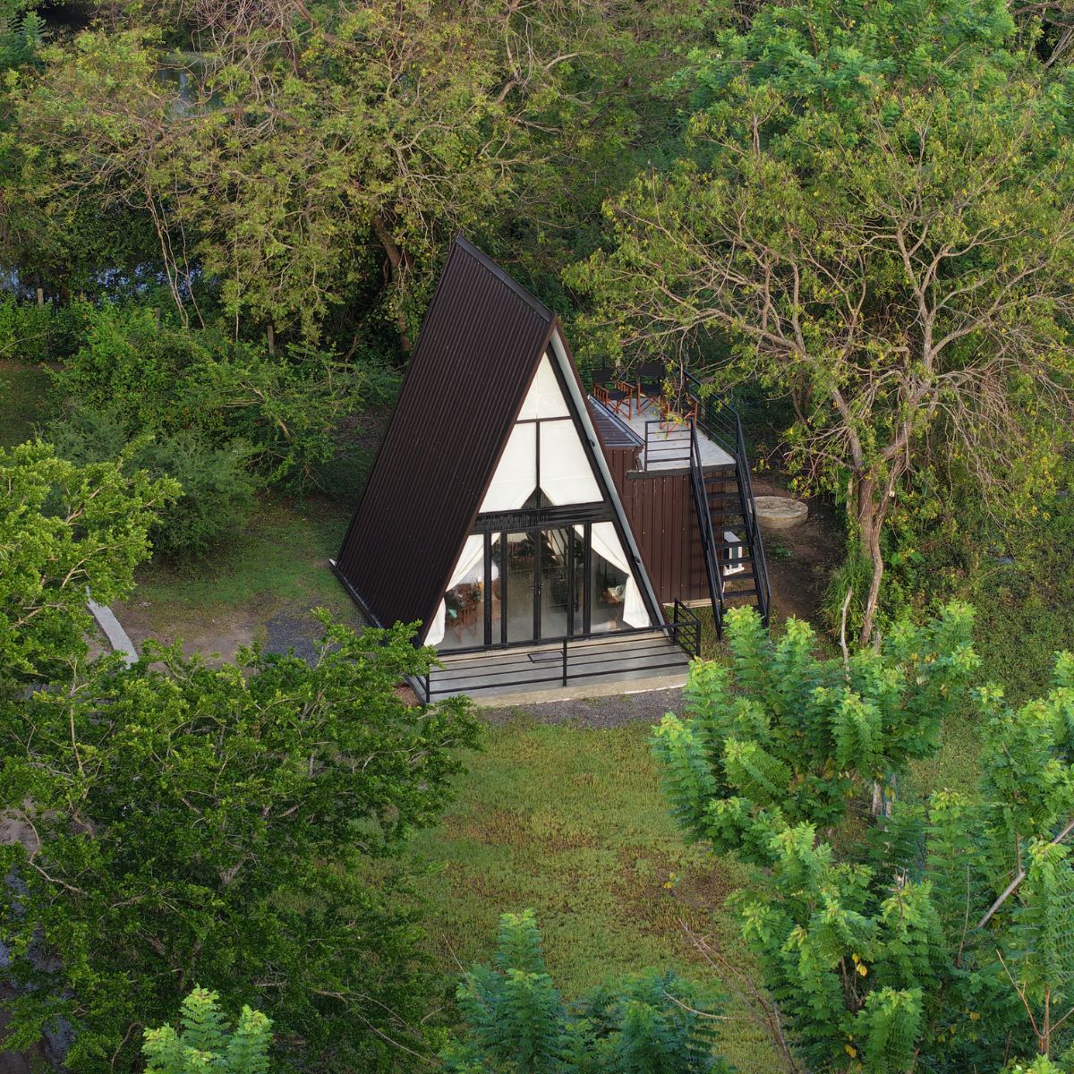 Forest Cabin 