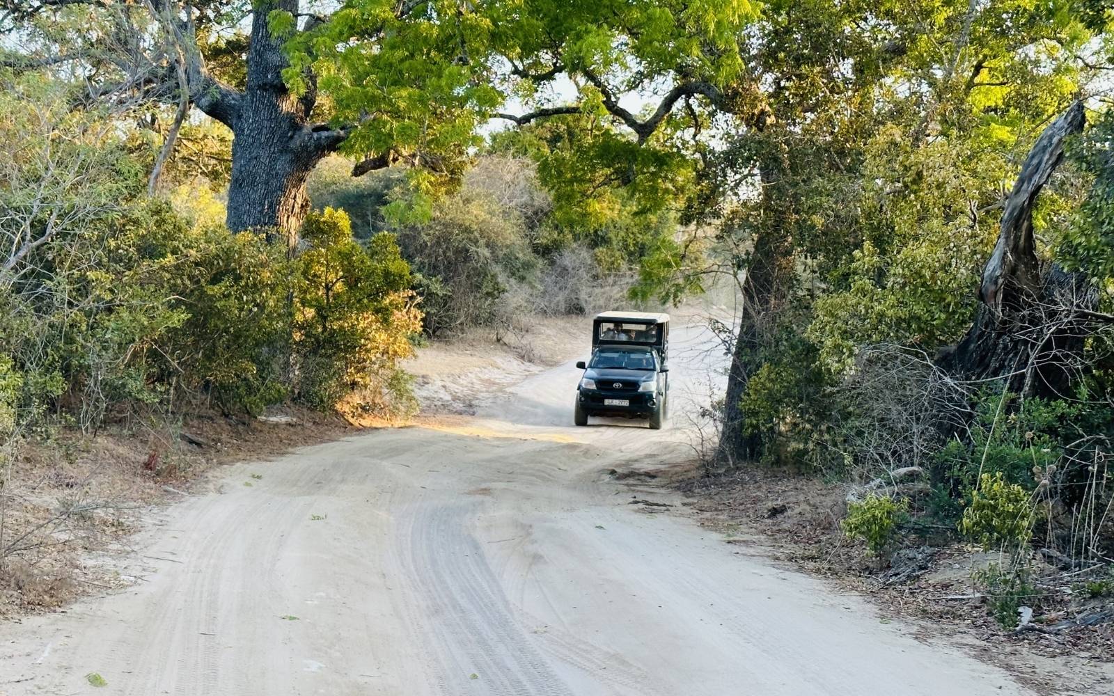 Safari jeep in Yala National Park