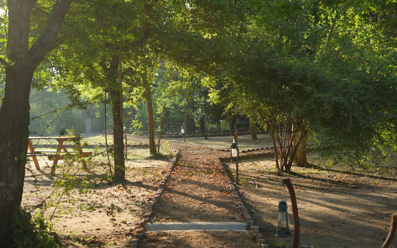 Camp Leopard accommodation and grounds